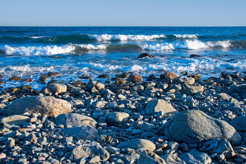 Ocean Habitat